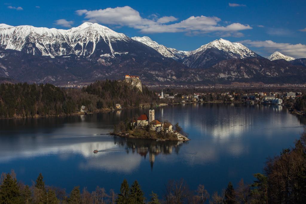 Вілла Bio Turisticna Kmetija Frcej-Zupan Блед Екстер'єр фото