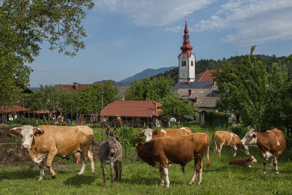 Вілла Bio Turisticna Kmetija Frcej-Zupan Блед Екстер'єр фото