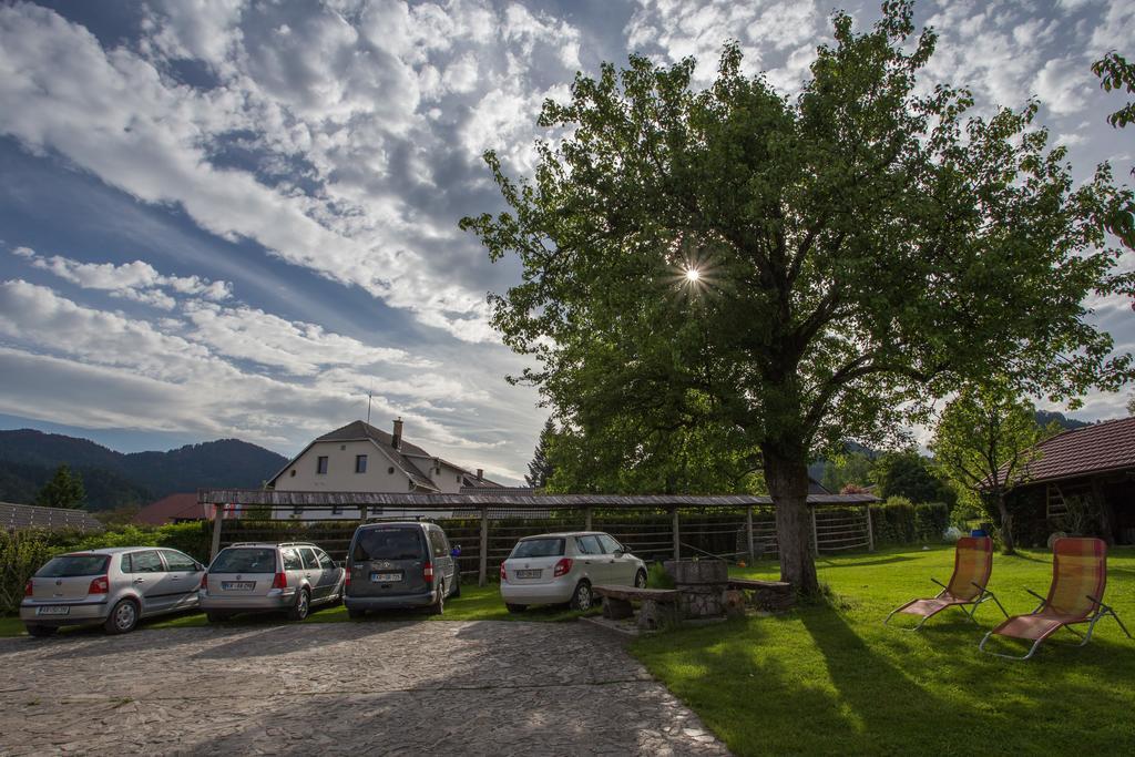 Вілла Bio Turisticna Kmetija Frcej-Zupan Блед Екстер'єр фото